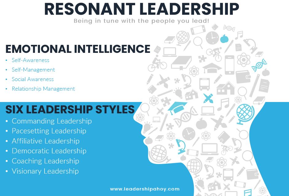 Overview of Resonant Leadership drivers